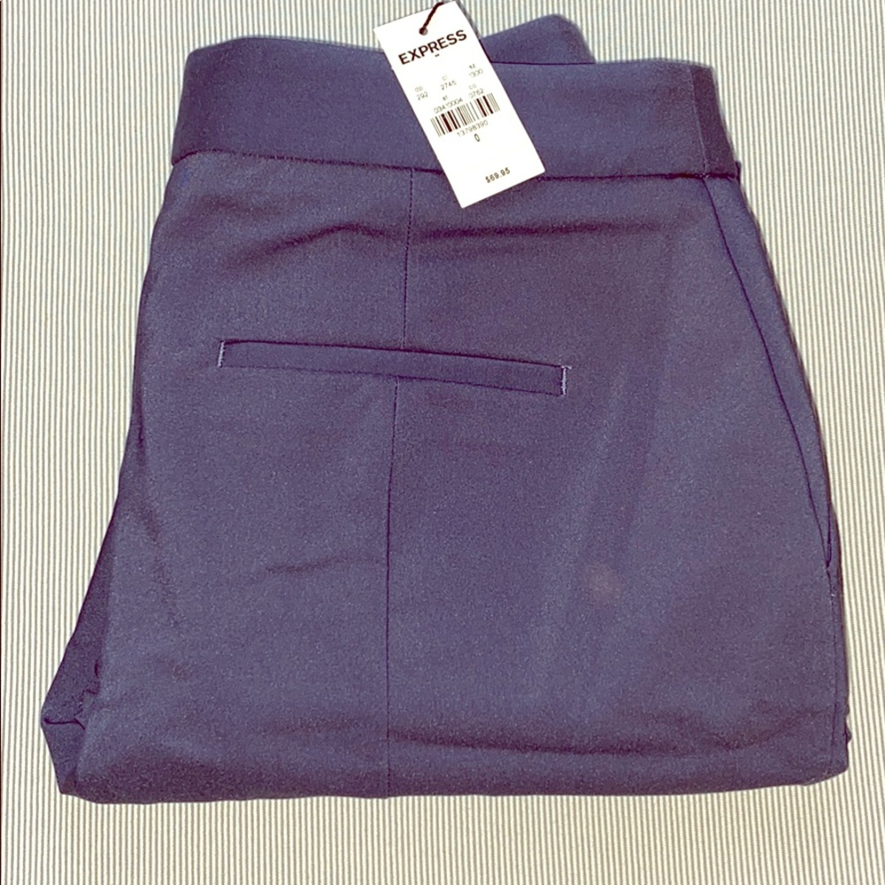Express Columnist Dress Pants